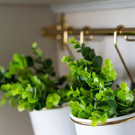 Your Holidays Waves D648 Z Widokiem Na Morze *