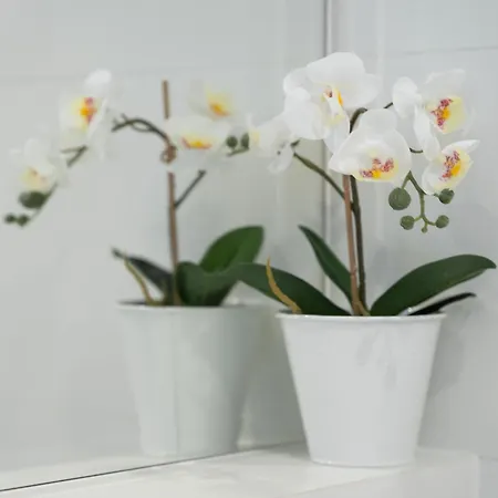 Your Holidays Wave D648 Z Widokiem Na Morze Διαμέρισμα Miedzyzdroje