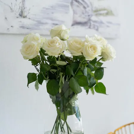 Your Holidays Wave D648 Z Widokiem Na Morze Miedzyzdroje