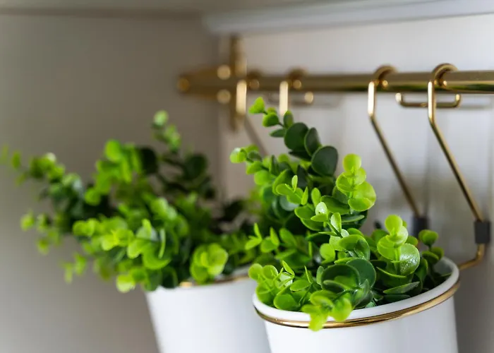 Your Holidays Wave D648 Z Widokiem Na Morze *