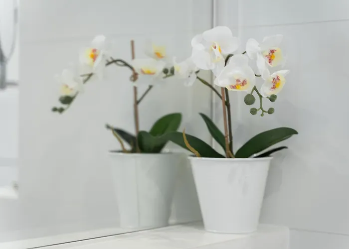 Your Holidays Wave D648 Z Widokiem Na Morze Апартаменты Мендзыздрое