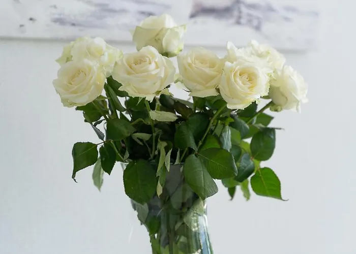 Your Holidays Wave D648 Z Widokiem Na Morze Мендзыздрое